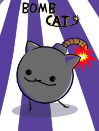 Bomb Cat