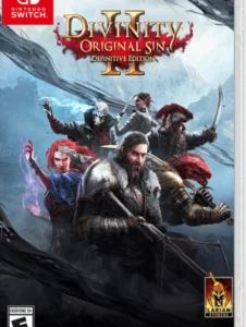 Divinity Original Sin 2 – Definitive Edition